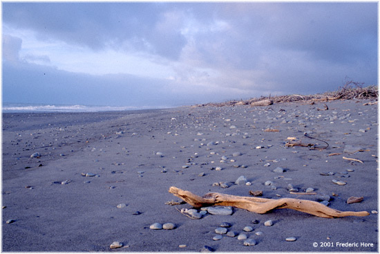 Ted McGrash Memorial Walk, South Island